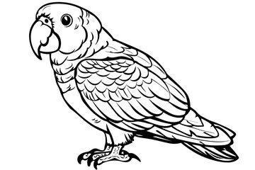 basic cartoon clip art of a Parrot, bold lines, no gray scale, simple coloring page for toddlers - obrazy, fototapety, plakaty