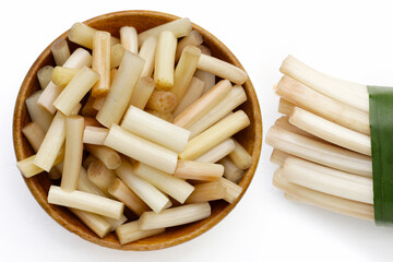 Fresh lotus rootlet on white background.