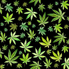 Green cannabis pattern on black background, green leaves Hand drawn watercolor illustration, medicine herb plant