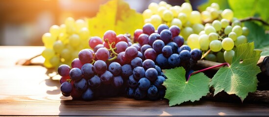Fototapeta premium Fresh grapes on rustic wooden table under sunlight