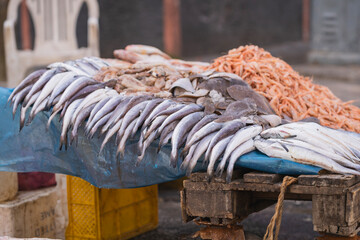 Fish and Shrimps on a market in Casablanca, Morocco