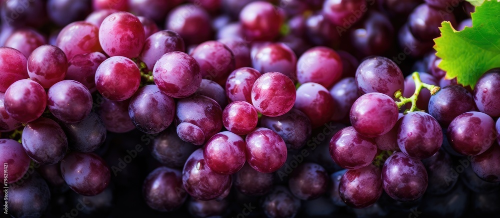 Poster grapes with leaf top view