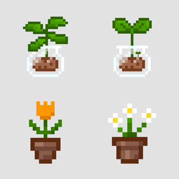 Pixel art flower in a pot, Vector pixel plant in transparent jar