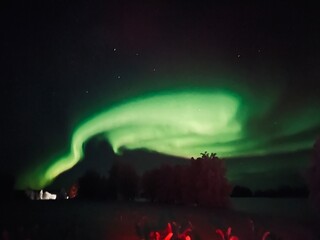 aurora borealis over the sea