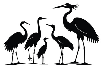 Collection of silhouettes of heron or egret birds vector on white background
