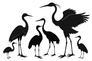 Collection of silhouettes of heron or egret birds vector on white background