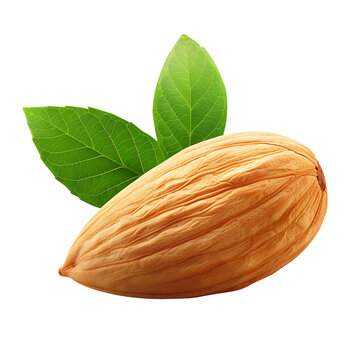 Almonds, for cooking ingredients or almond flavoring