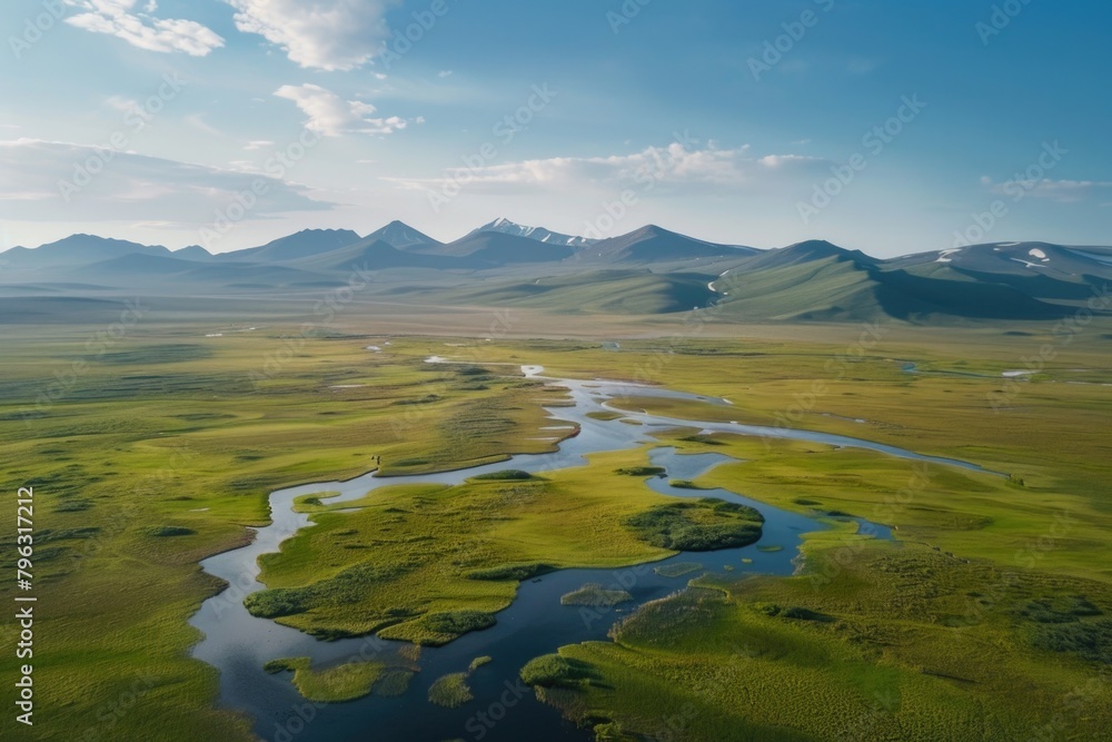 Poster aerial view of a river running through a vibrant green field. suitable for nature and landscape conc