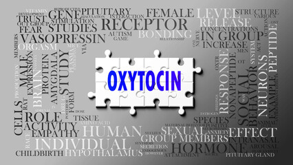 Oxytocin as a complex subject, related to important topics. Pictured as a puzzle and a word cloud made of most important ideas and phrases related to oxytocin. ,3d illustration