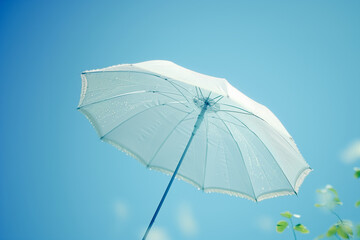white umbrella on sky background