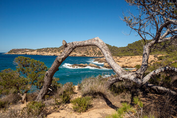 S Illot de Rencli cove landscape, near Portinatx, Sant Joan de Labritja, Ibiza, Balearic Islands, Spain