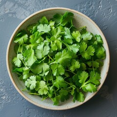 fresh lettuce in a bowl