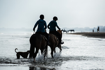 Riders in silhouette at the beach excercising horses