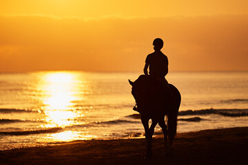 Rider in silhouette excercising the horse