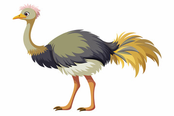 Ostrich vector with white background.