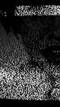 Vertical video. Distorted portrait. Television manipulation. Propaganda influence. Woman half face on analog TV channel bad signal with real static noise on black white screen.