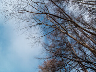 Beautiful scenery of Karuizawa, Japan