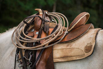 Detail of a western saddle