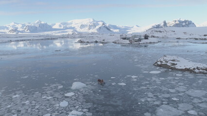 Zodiac Boat Sail At Vernadsky Station Aerial View. Expedition Rubber Transport Discover Antarctica...
