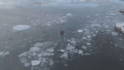 Zodiac Boat Sail At Vernadsky Station Aerial View. Expedition Rubber Transport Discover Antarctica...