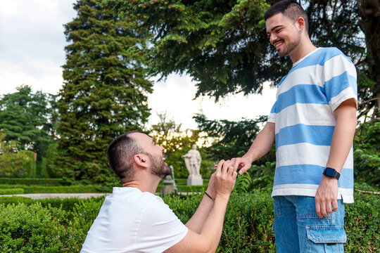Joyous acceptance of a marriage proposal in a picturesque park setting.