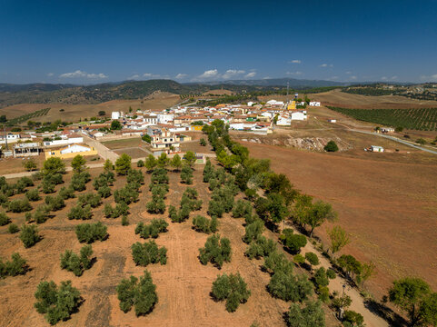 Aerial view of the town of Las Navas de Tolosa surrounded by olive fields (Ja&eacute;n, Andalusia, Spain)