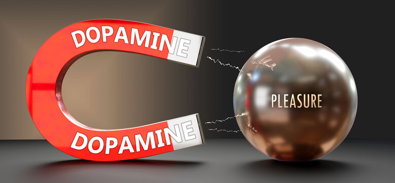 Dopamine attracts Pleasure. A metaphor showing dopamine as a big magnet attracting pleasure. Analogy to demonstrate the importance and strength of dopamine. ,3d illustration