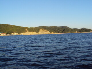 river, lake, water, nature, flora