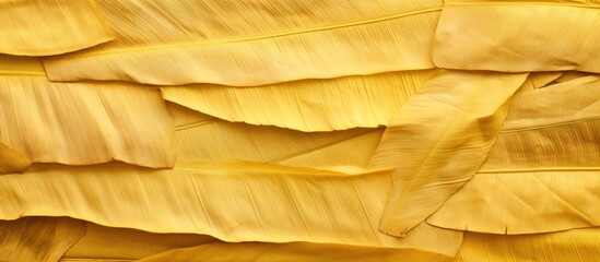 Yellow banana leaves close up