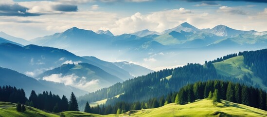 Mountains with green grass and trees - obrazy, fototapety, plakaty
