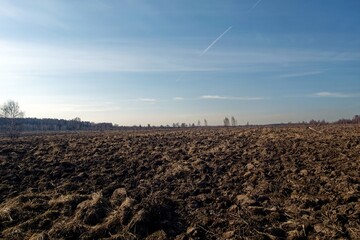 Ploughed field in early spring