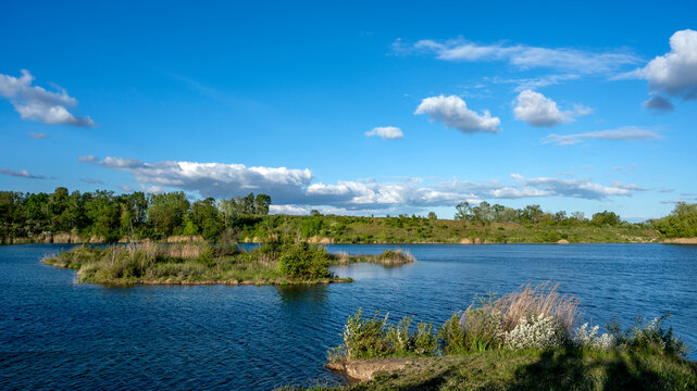 Paysage nature de mar&eacute;cages et zone humide du parc de Miribel dans le d&eacute;partement du Rh&ocirc;ne au printemps en France