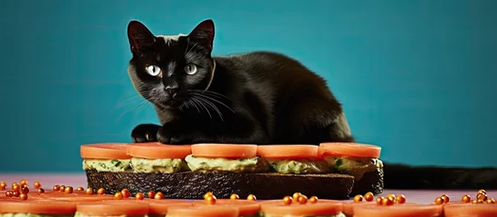 Fototapeten Black feline perched atop sandwich © HN Works