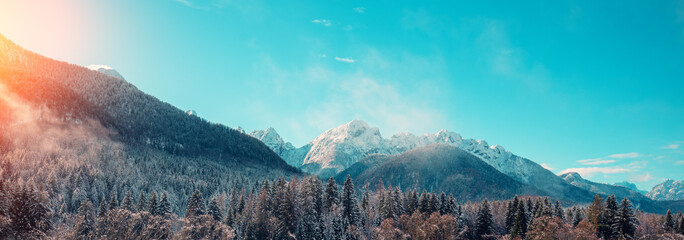 Snow-covered spruce trees on a mountainside on a foggy winter morning. Fusine Confine, Udine, Italy. Horizontal banner