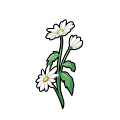 Daisy Flower Vector Illustration