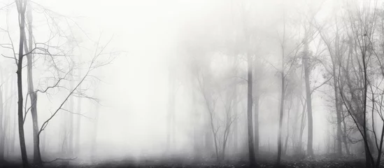 Möbelaufkleber A monochrome forest image © HN Works