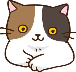 Cute Cartoon Cat Character