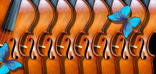 melody concept. blue morpho butterflies and old violins texture background. music banner, music...