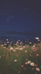 Fototapeta na wymiar Esthetic flower field nighttime landscape wallpaper grassland outdoors nature.