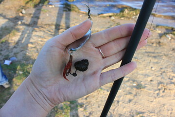 spinning, shell, palm, fishing rod, river