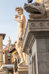 Italy, Florence. David by Michelangelo, antique marble sculpture, perfection man body