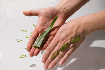 Aloe drops fall and moisturize the skin of female hands. High quality photo