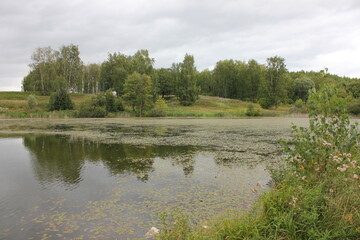 nature, summer, trees, sky, greens