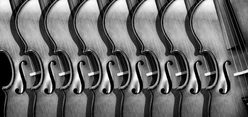 melody concept. old violins texture background, black and white. music banner, music concept
