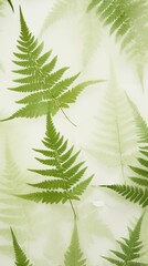 Pressed green ferns wallpaper backgrounds plant leaf.