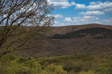 landscape, view, mountains, nature, outdoors, mountain, wildlife
