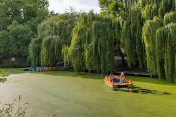 Pedal boaters on a river whose water surface is covered with duckweed