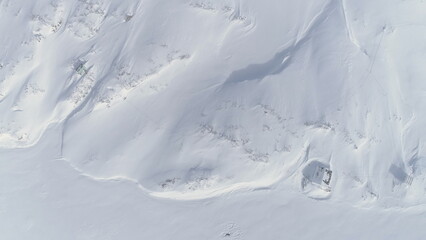 Antarctica Ice Covered Continent Zoom Out Aerial View. Puppy and Mother Arctic Animal Rest on Snow...