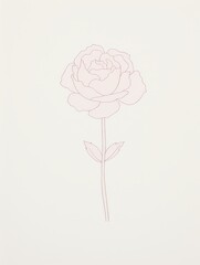 A single pink rose on a beige background.