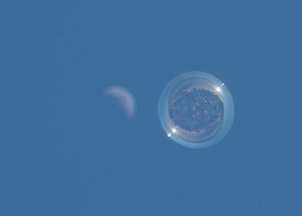 soap bubbles in the sky